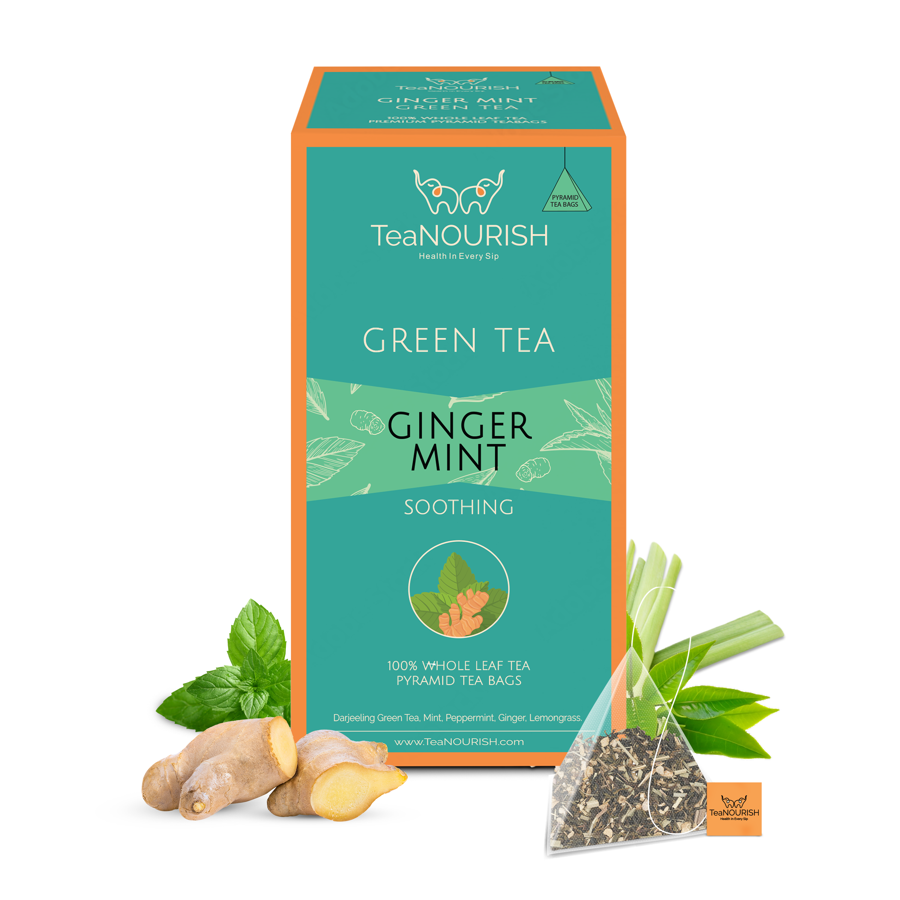 Ginger Mint Green Tea - 20 Tea Bags