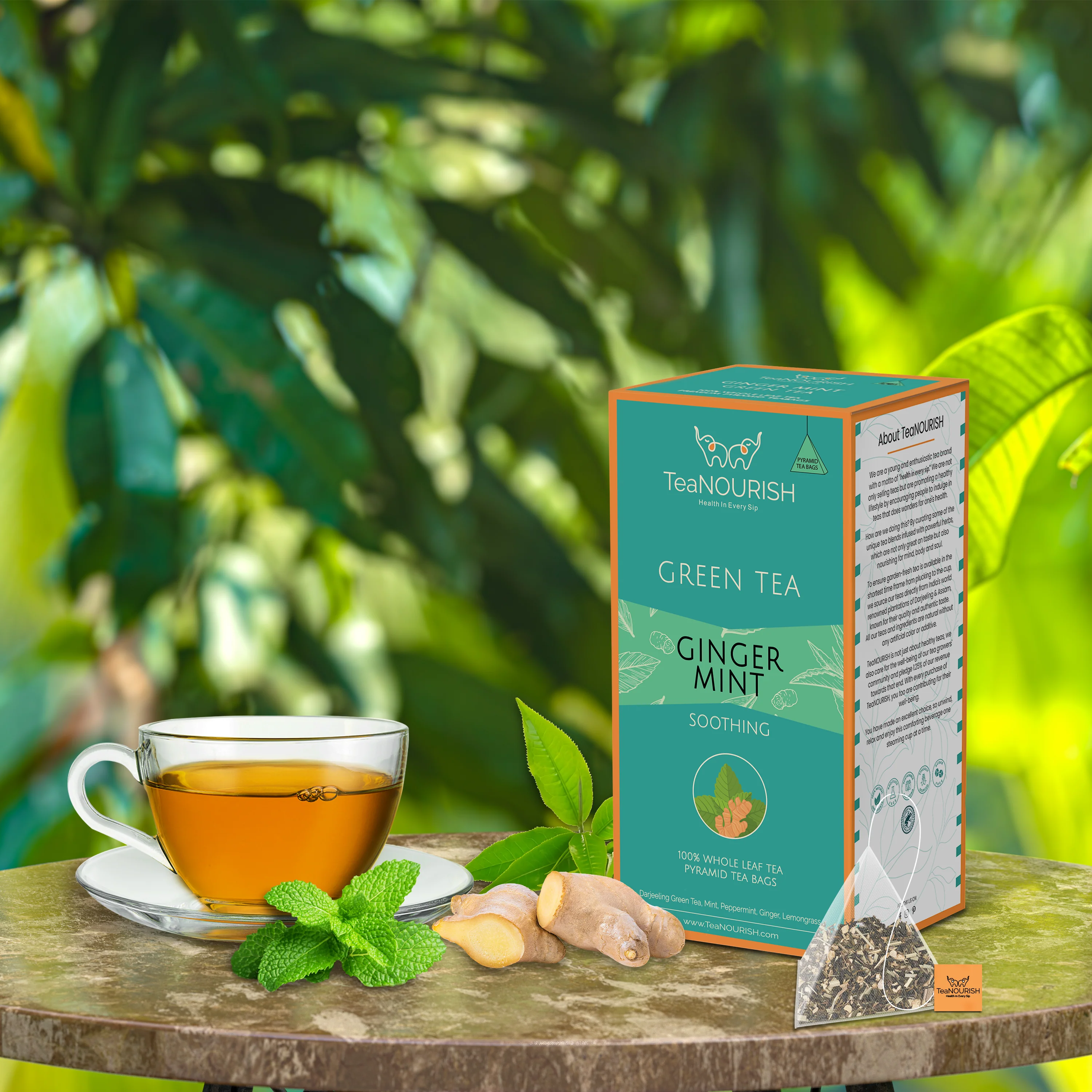 Ginger Mint Green Tea - 20 Tea Bags